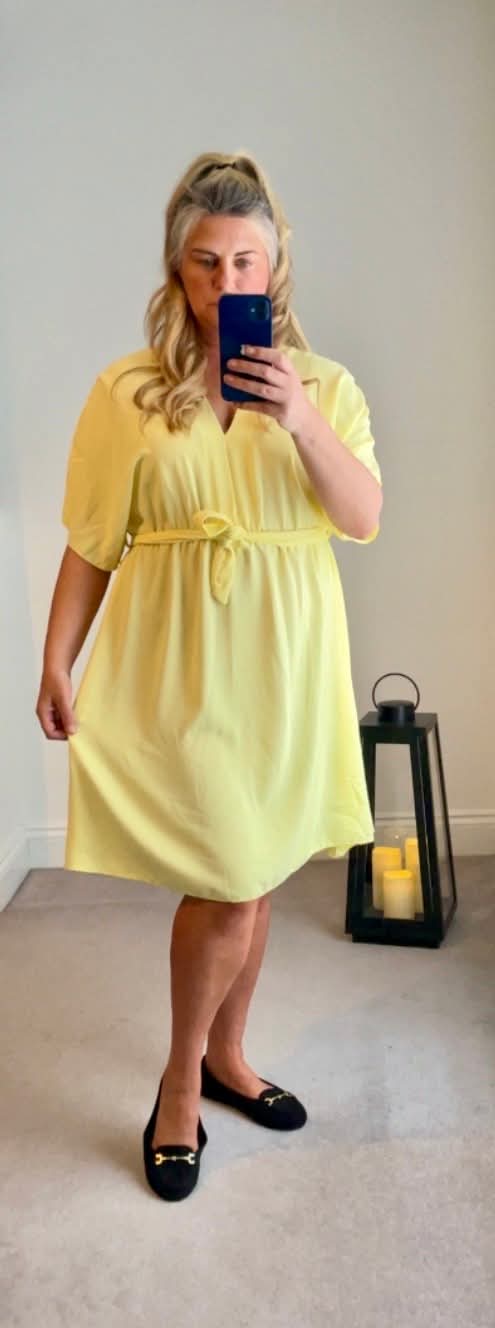 Scarlett Plus Size Dress